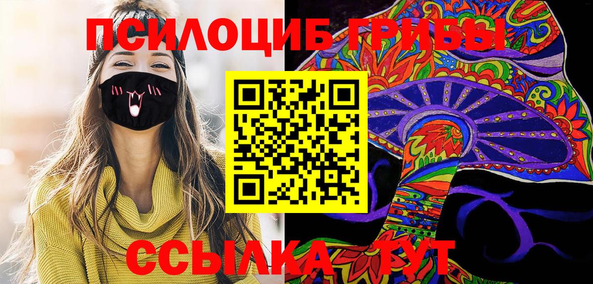 где можно купить   Вход с VPN  Ульяновск  Галлюциногенные грибы Cubensis 